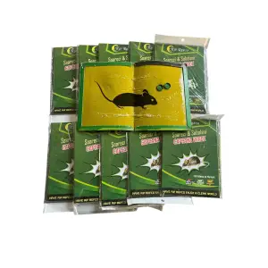 Capcana lipici pe carton pentru soareci 10 buc/set