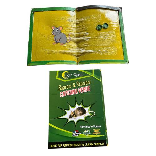 Set 5 + 2 gratis cursa soareci metalica si capcana lipici Set 5 + 2 gratis cursa soareci metalica si capcana lipici