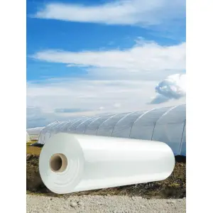 Folie profesionala solar 150 microni, 8.2x10m