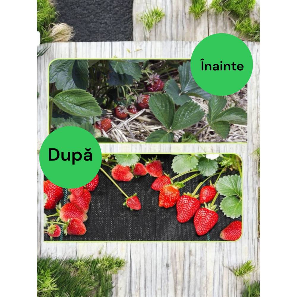 Folie Antiburuieni, Agrotextil 5 x 10 M, 90G/M2