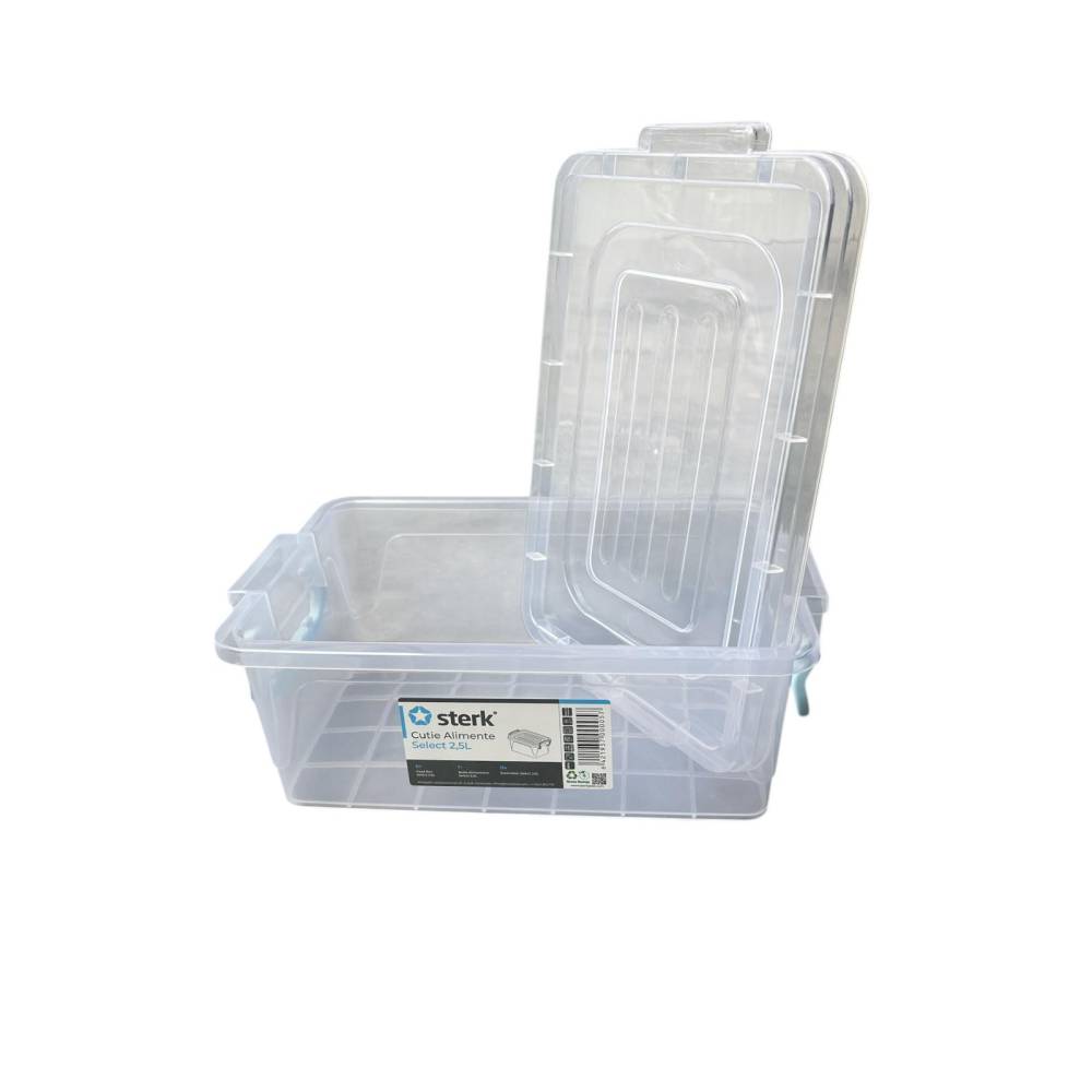 Caserola / Cutie alimente cu maner si capac 2.5 L