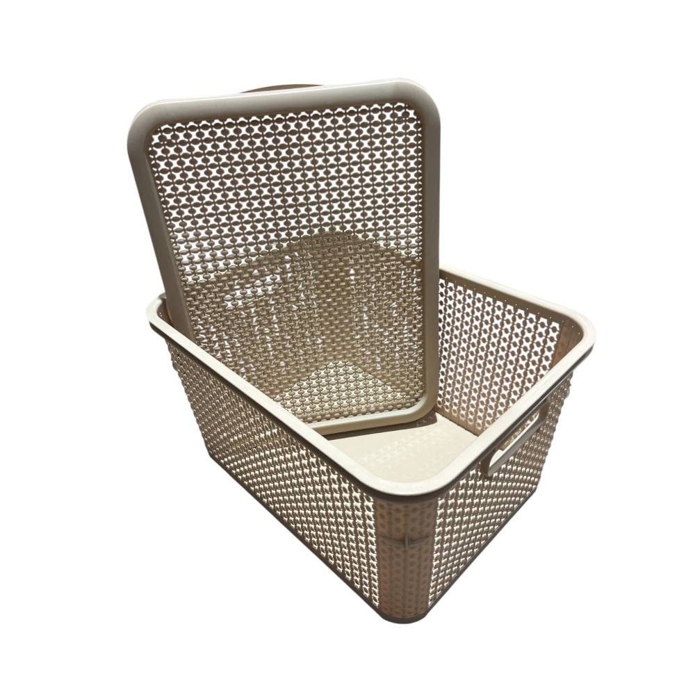 Cutie depozitare cu capac din plastic, perlat, 40L