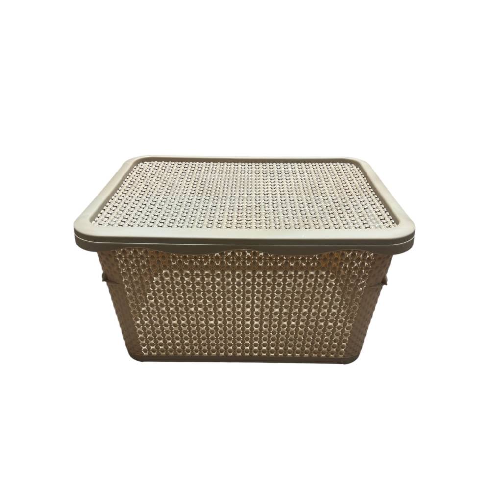 Cutie depozitare cu capac din plastic, perlat, 40L