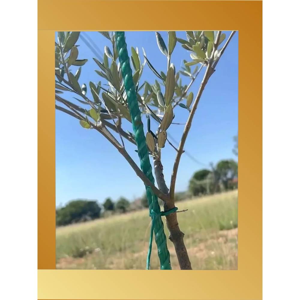 Tija din fibra de sticla 1m x 6mm