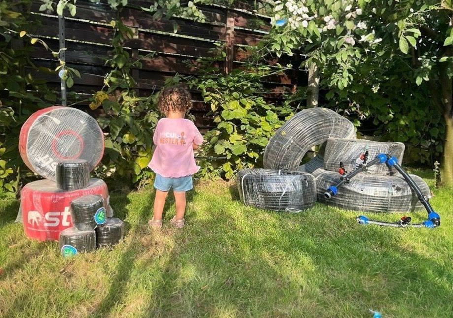 PANA SI CEI MICI ISI DORESC RECOLTE BOGATE 