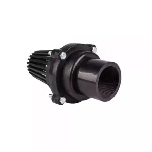 Sorb motopompa 2 toli filet interior, cu supapa