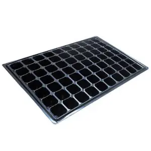 Tava alveole pentru rasaduri 70 celule - semanat, legume si flori