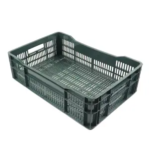 Naveta Ladita verde plastic 60 x 40 x 17cm