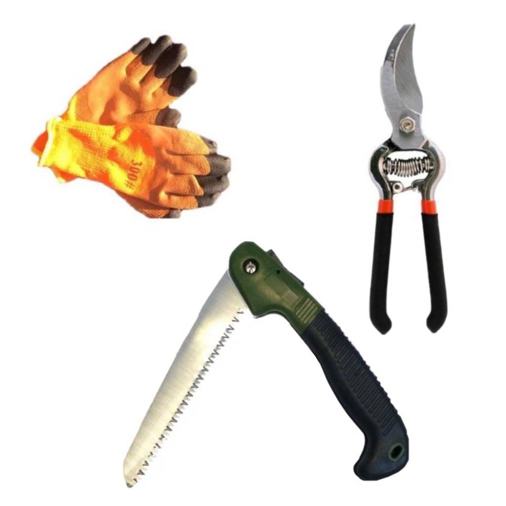 Foarfeca pomi, vita de vie + Fierastrau pliabil / briceag cu dinti pentru pomi + Manusi vatuite Foarfeca pomi, vita de vie + Fierastrau pliabil / briceag cu dinti pentru pomi + Manusi vatuite
