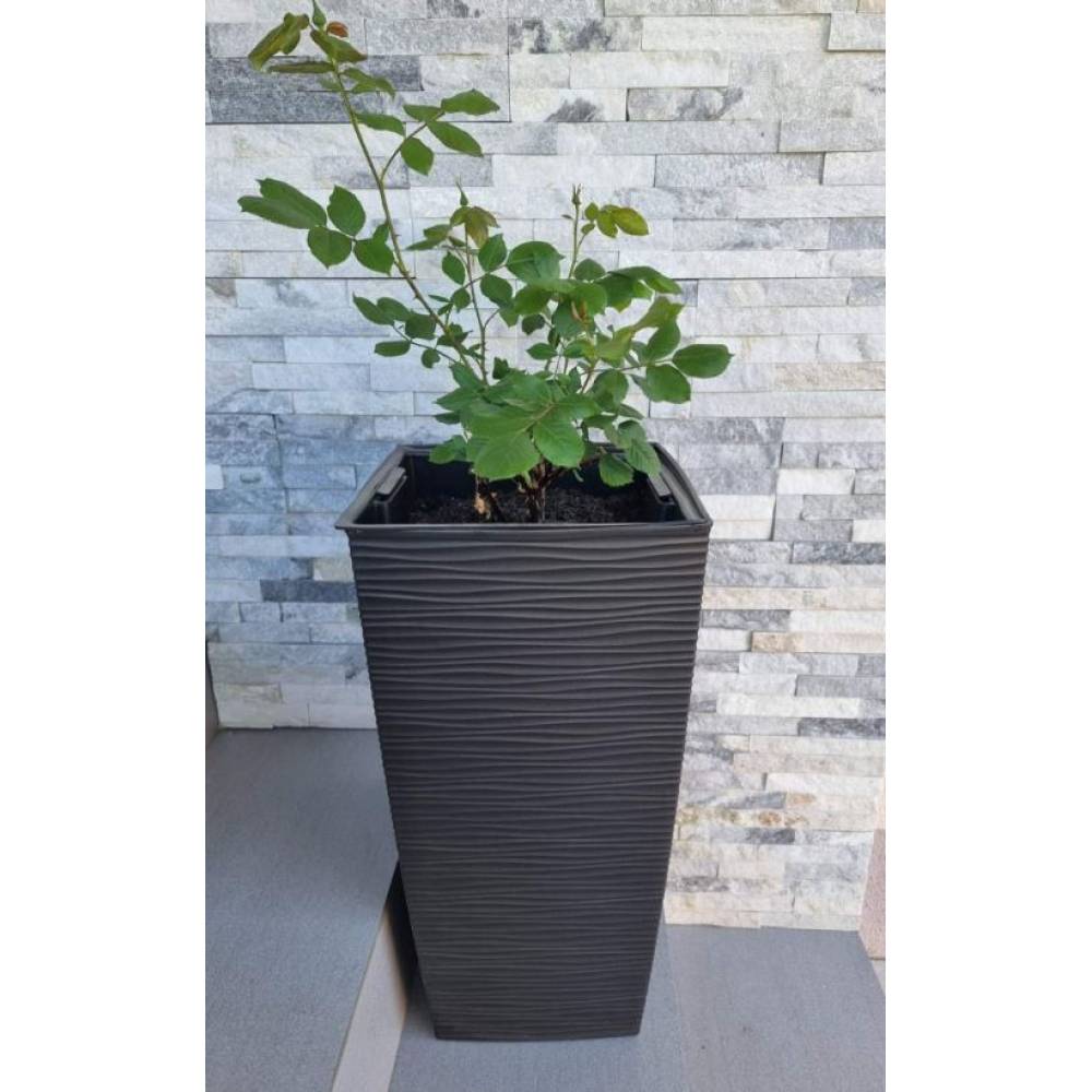 Ghiveci inalt patrat 46cm Ghiveci inalt patrat 46cm