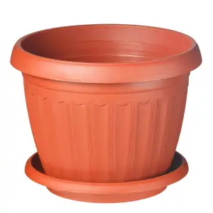 Ghiveci Infinity maro 2 L